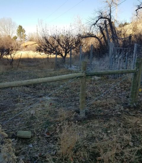 Agricultural Fencing Options