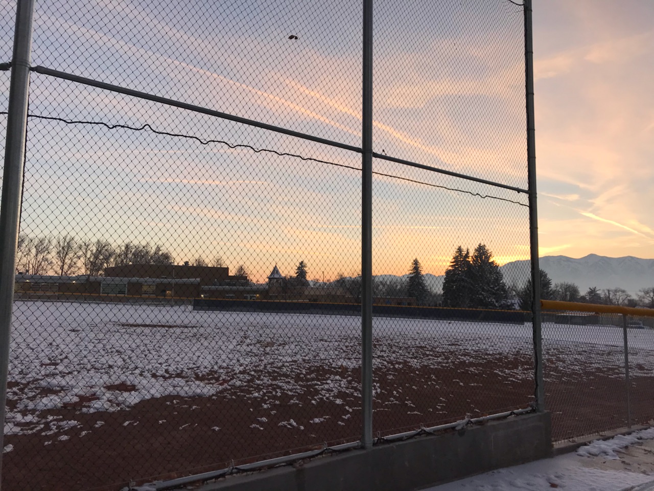 Sports Enclosure Fencing