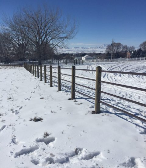 Agricultural Fencing Options